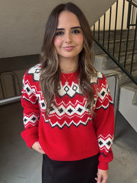 Z Supply Adornment Sweater