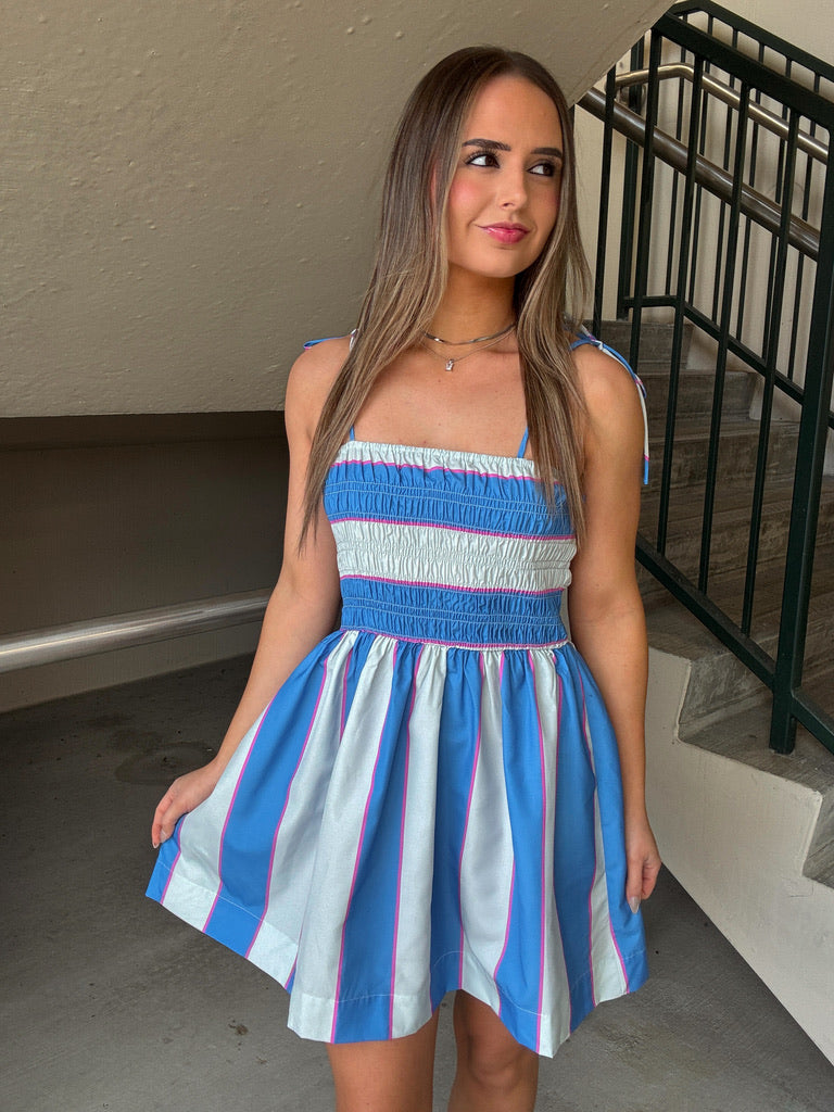 Smoked Top Mini Dress